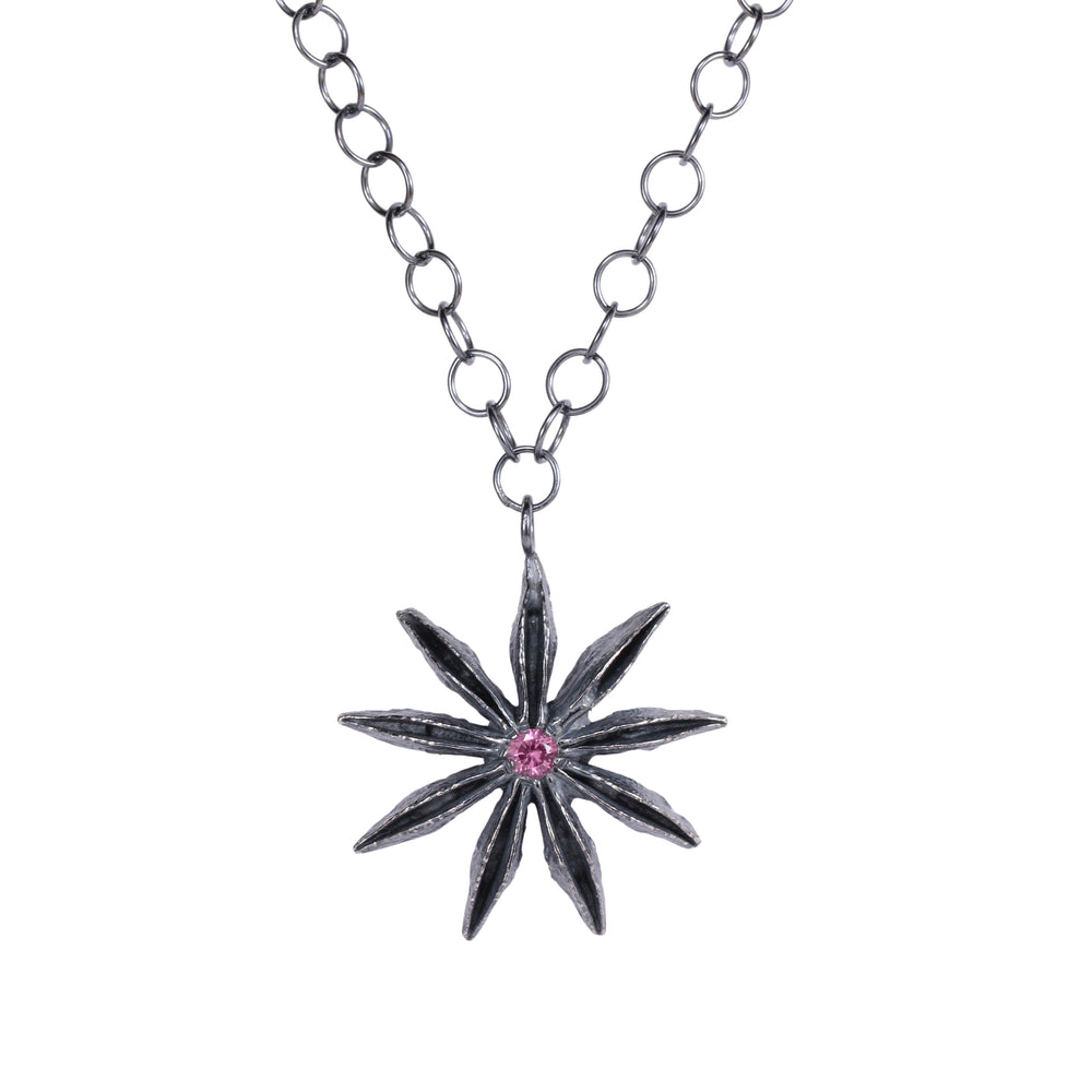 
                      
                        Star Anise
                      
                    